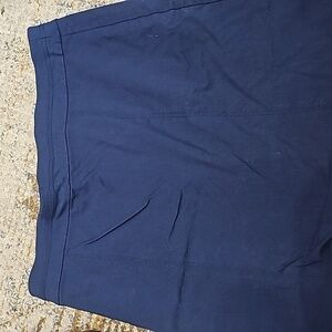 Kim Rogers Women's Petite Skort